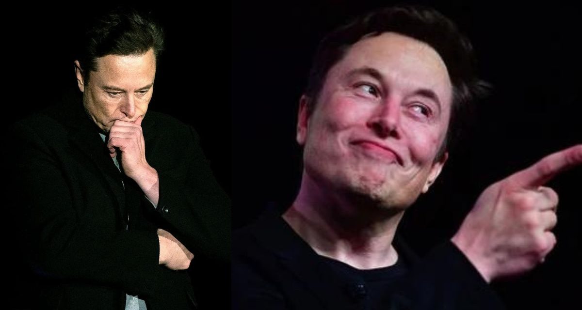 “Twitter is speeding up” Elon Musk Brings Back Twitter Blue